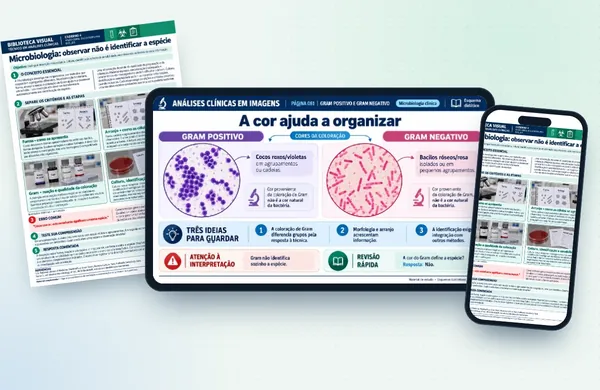 Gram Positivo e Negativo