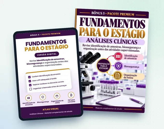 Fundamentos para o Estágio